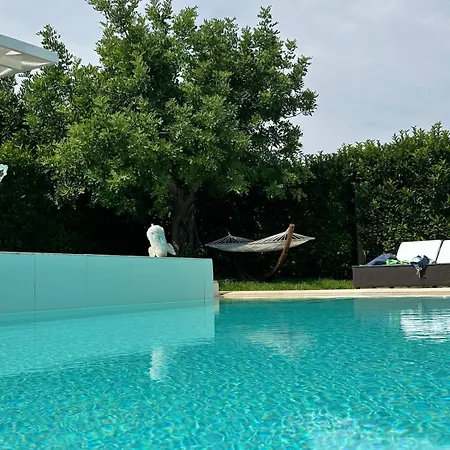 Luxury Panoramic In *