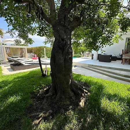 Luxury Panoramic In
